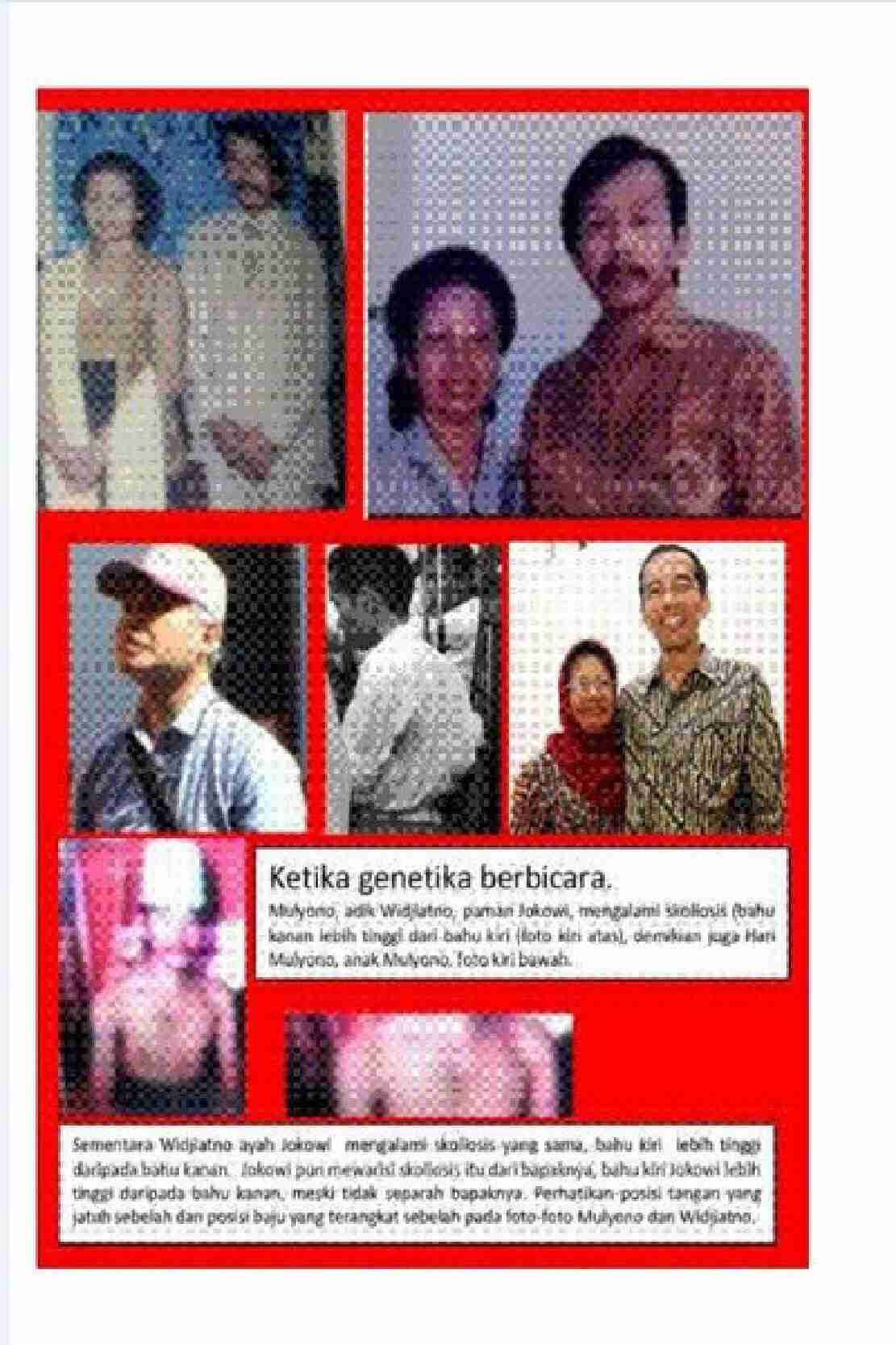 jokowi_undercover