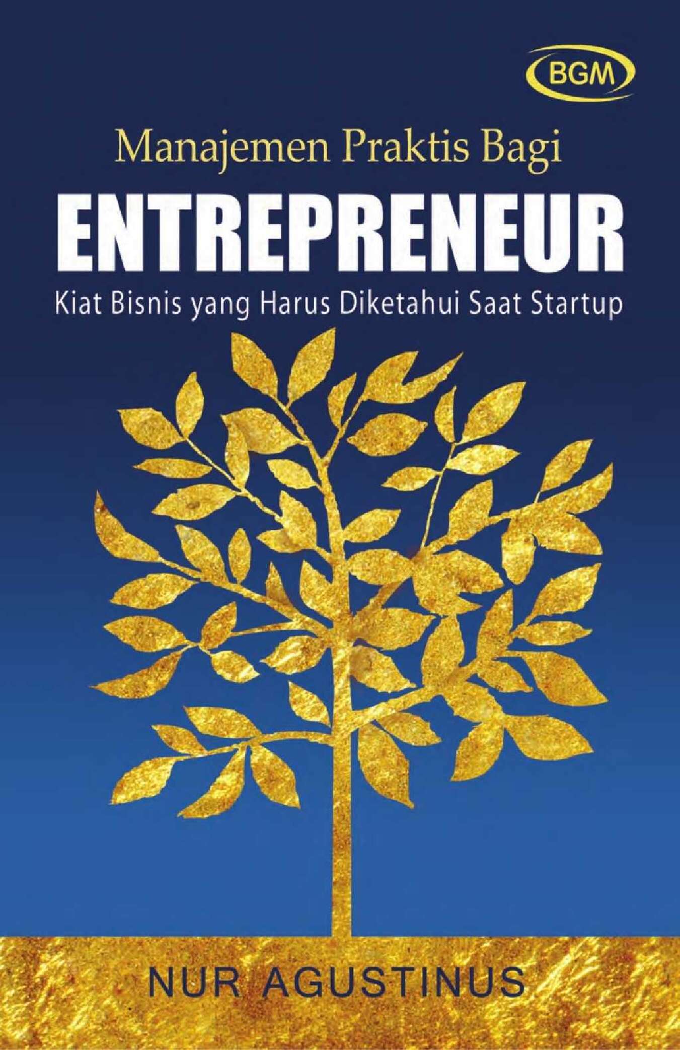 manajemen-praktis-bagi-entrepreneur-kiat-bisnis-yang-harus-diketahui-saat-startup-by-nur-agustinus