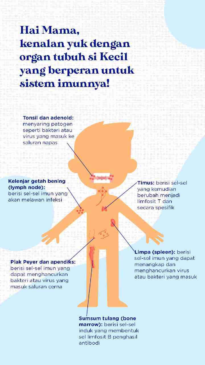 nutrition-for-immunity