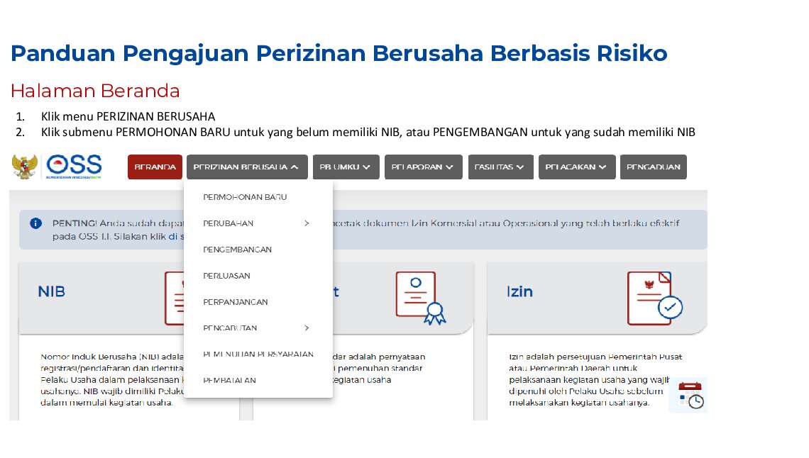 panduan-spp-pirt-965