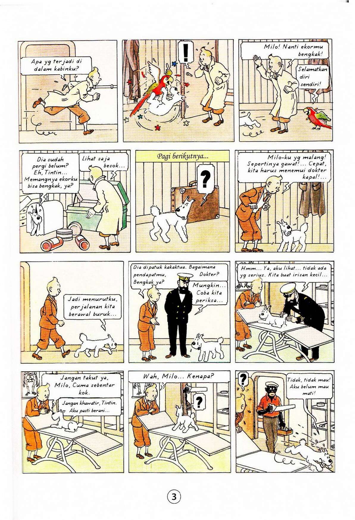 petualangan-tintin-1930-tintin-di-congo-917