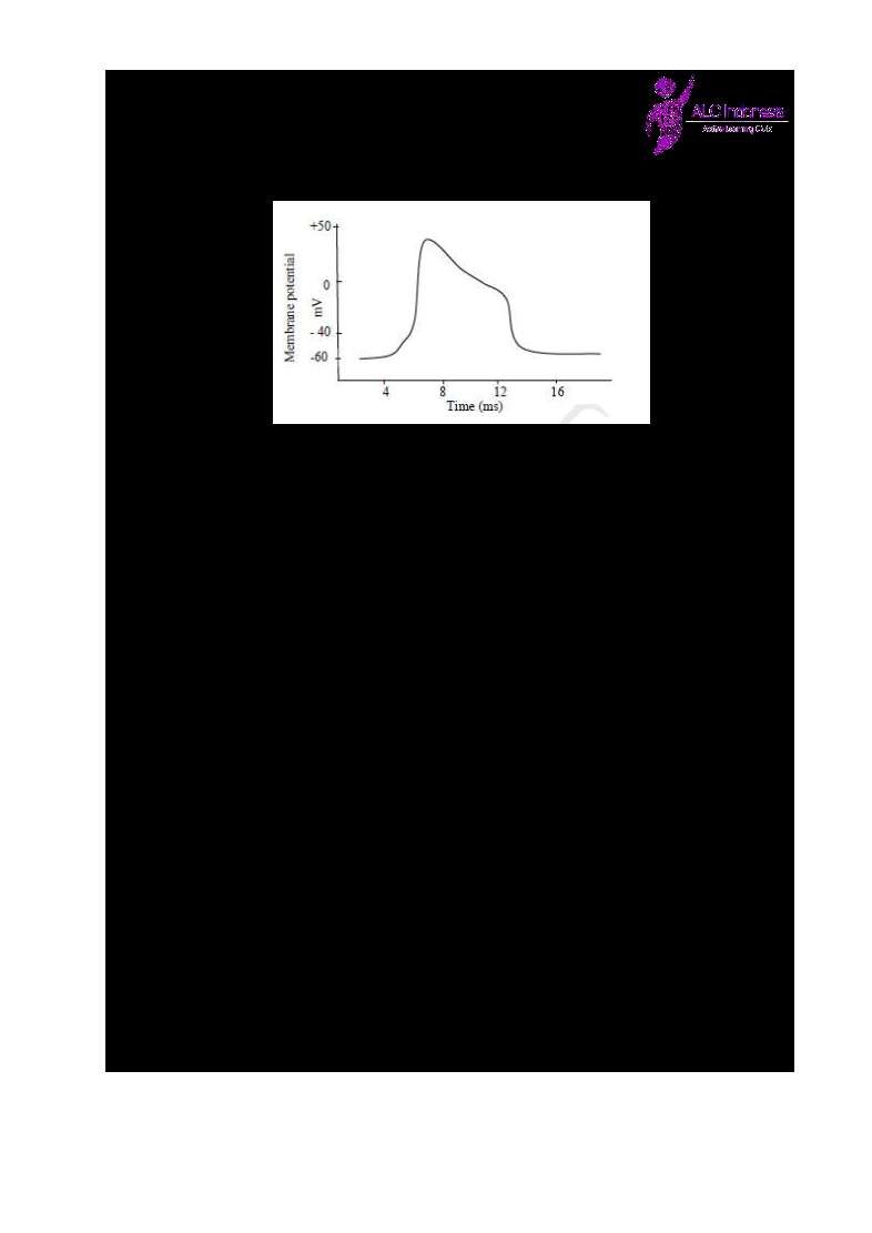 po-1-biologi-alc-indonesia-www-defantri-com-501