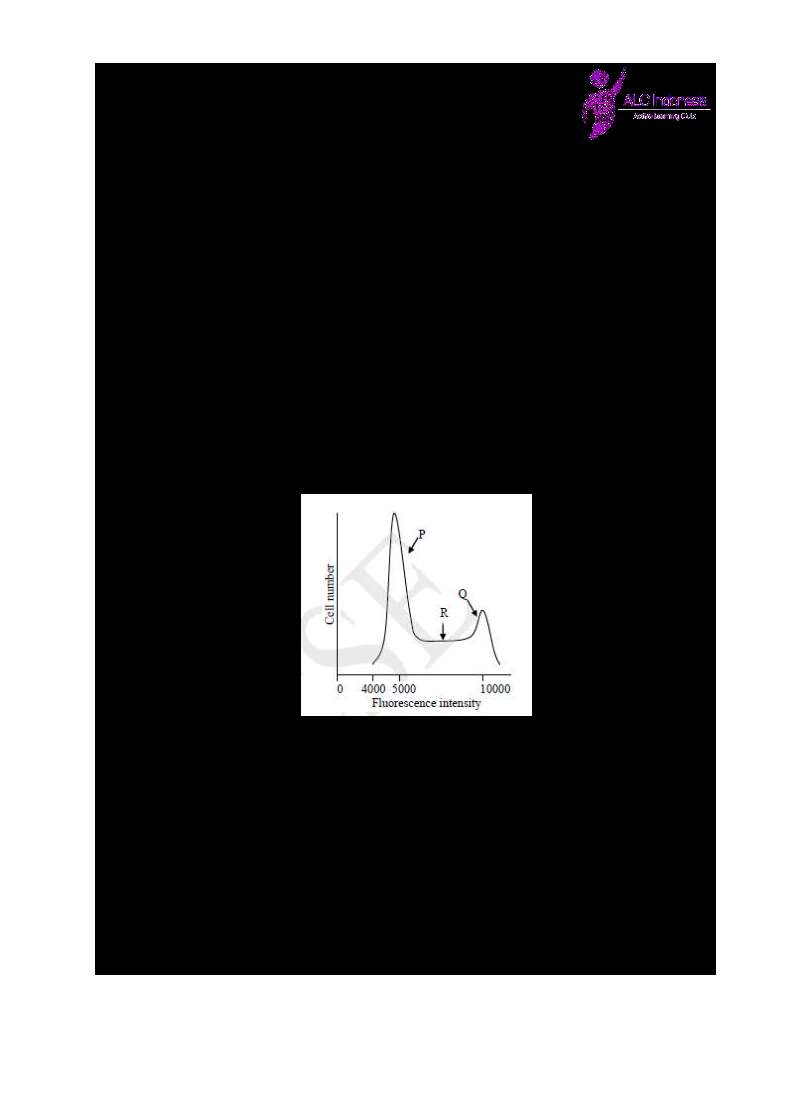 po-1-biologi-alc-indonesia-www-defantri-com-501