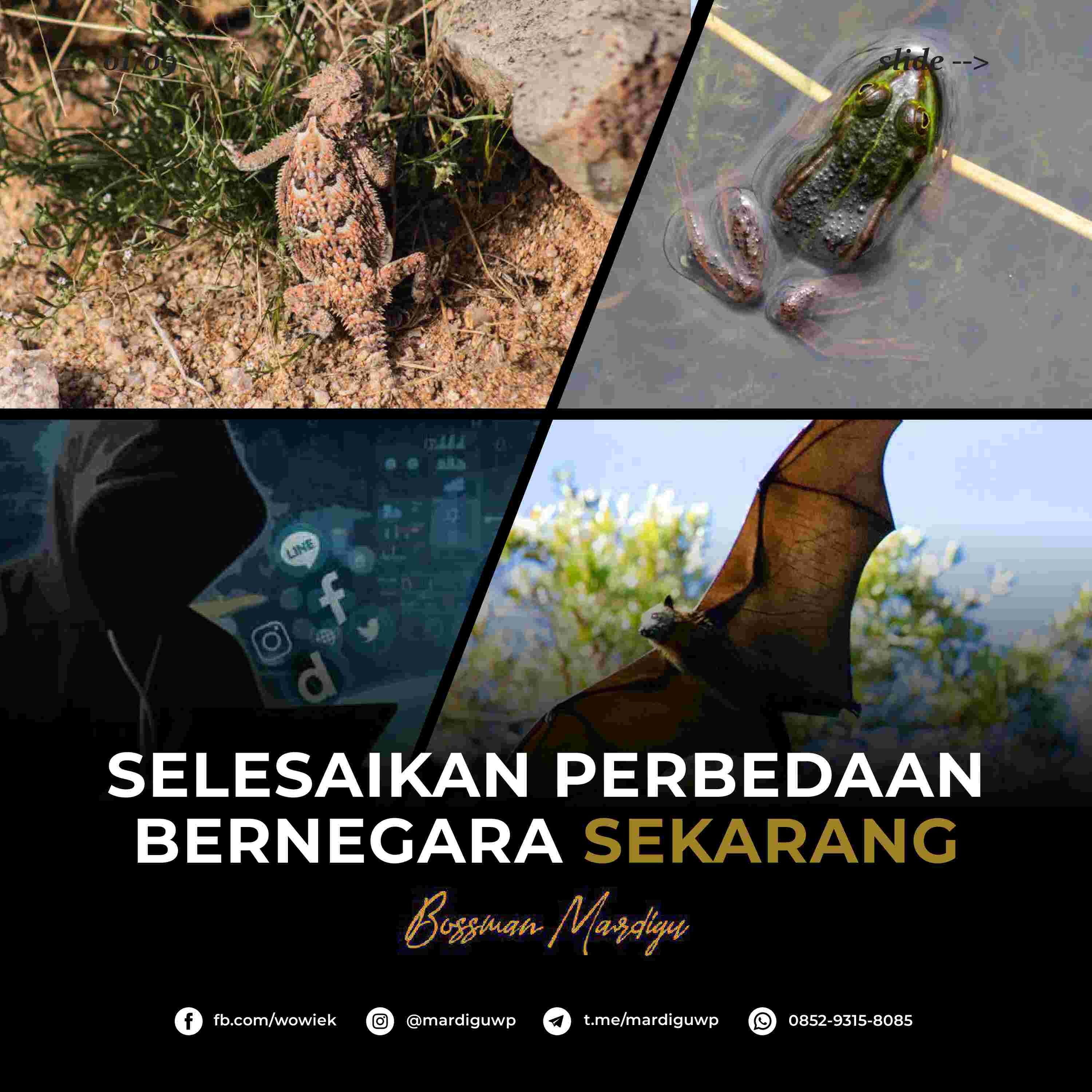 selesaikan-perbedaan-berbangsa-sekarang